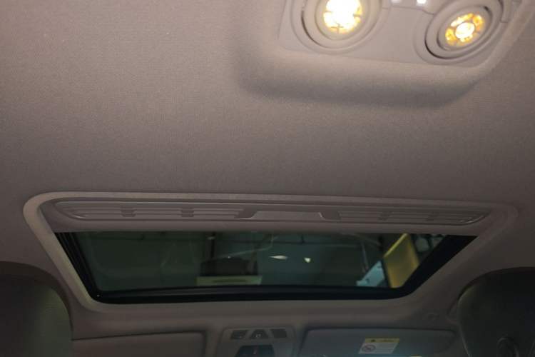 Used BMW 3 Series 2018 320Li Leading Model M Sport Package Headliner