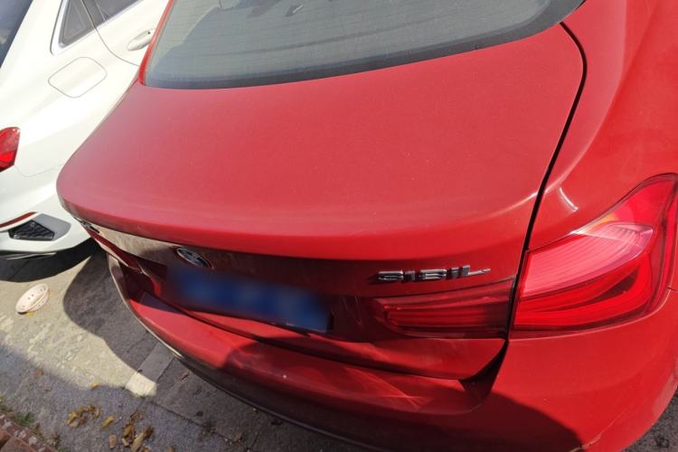 Used BMW 3 Series 2018 318Li Rear