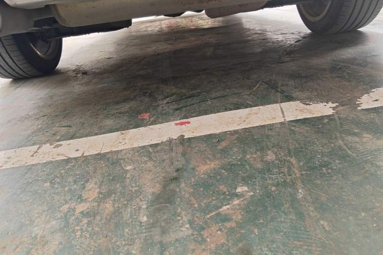 Used BMW 3 Series 2018 320Li Fashion Model Chassis Rear