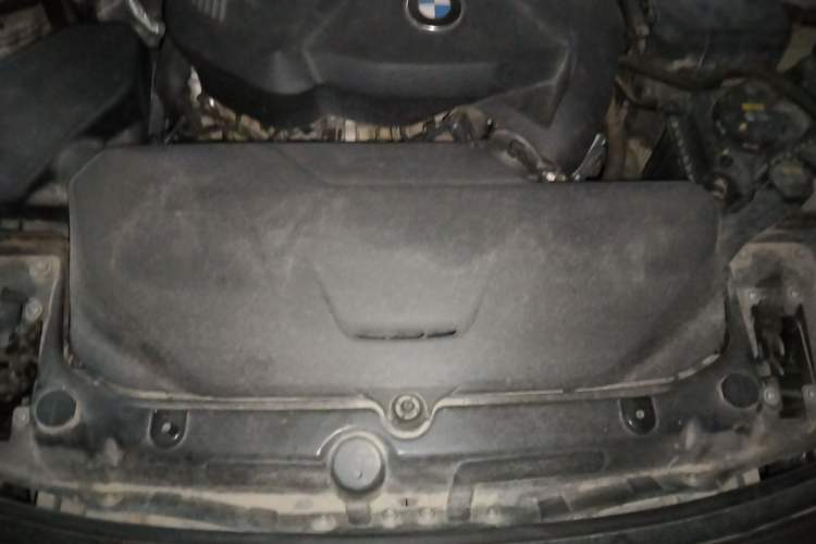 Used BMW 3 Series 2018 320Li Fashion Model Engine Bay