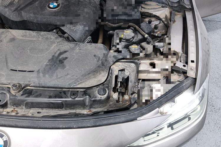 Used BMW 3 Series 2018 320Li Fashion Model Engine Bay Left