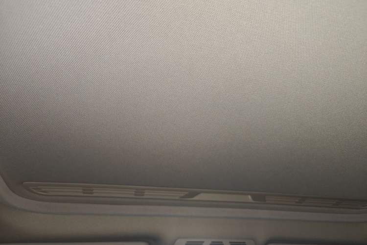 Used BMW 3 Series 2018 320Li Fashion Model Headliner