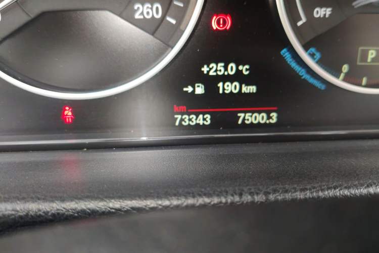 Used BMW 3 Series 2018 320Li Fashion Model Odometer Close Up