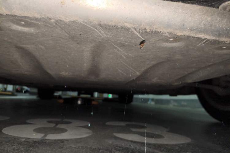 Used BMW 3 Series 2018 320Li Fashion Model Chassis Front