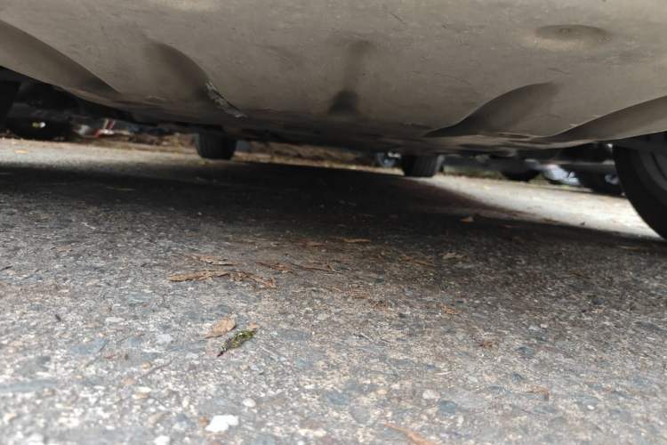 Used BMW 3 Series 2018 320Li Fashion Model Chassis Front