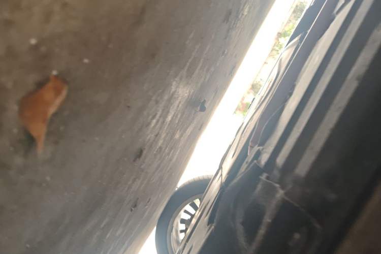 Used BMW 3 Series 2018 320Li Fashion Model Chassis Front Right