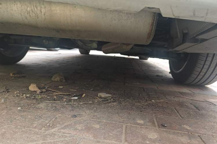 Used BMW 3 Series 2018 320Li Fashion Model Chassis Rear