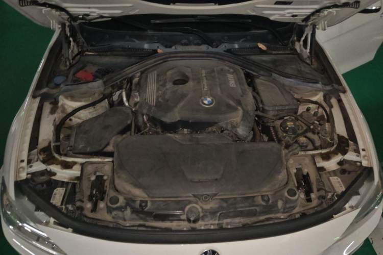 Used BMW 3 Series 2018 320Li Leading Model M Sport Package Engine Bay