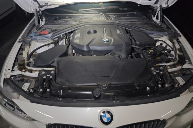 Used BMW 3 Series 2018 320Li Fashion Model Engine Bay