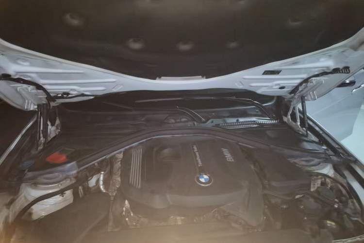 Used BMW 3 Series 2018 320Li xDrive Fashion Model Engine Bay