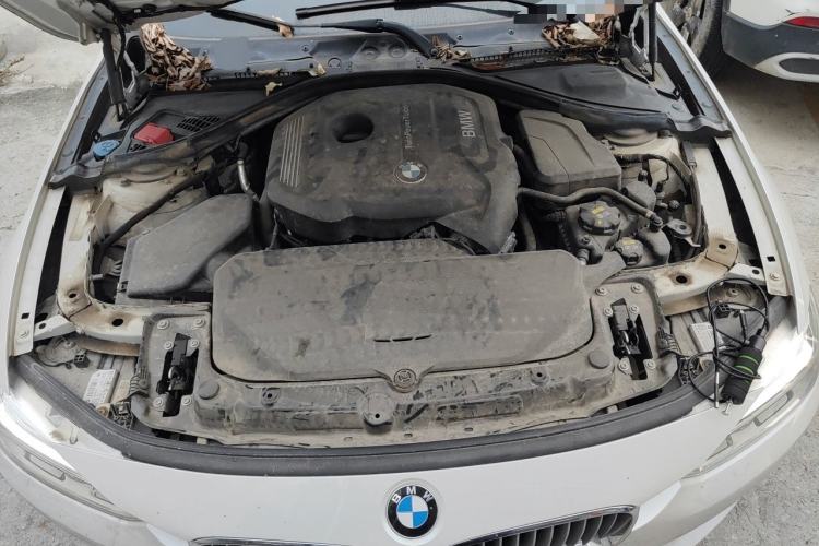 Used BMW 3 Series 2018 320Li Fashion Model Engine Bay