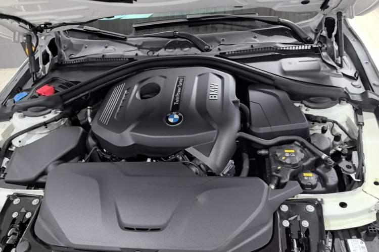 Used BMW 3 Series 2018 320Li Fashion Model Engine Bay