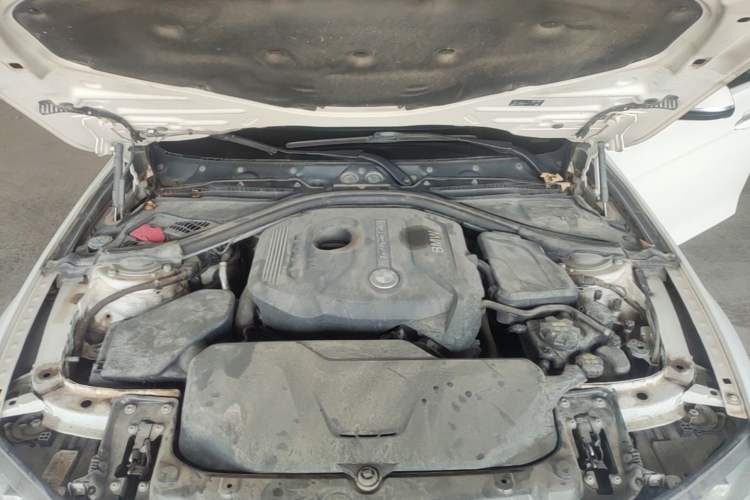 Used BMW 3 Series 2018 320Li Leading Model M Sport Package Engine Bay