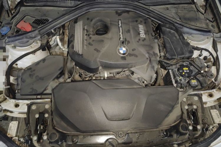 Used BMW 3 Series 2018 320Li Fashion Model Engine Bay