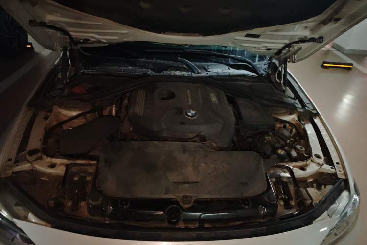 Used BMW 3 Series 2018 320Li Fashion Model Engine Bay