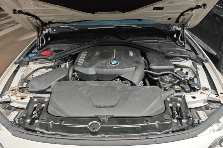 Used BMW 3 Series 2018 320Li Fashion Model Engine Bay