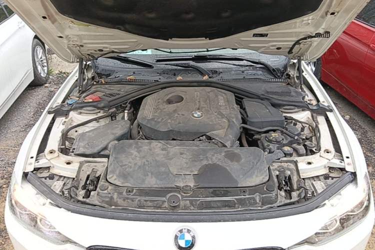 Used BMW 3 Series 2018 320Li M Sport Night Edition Engine Bay