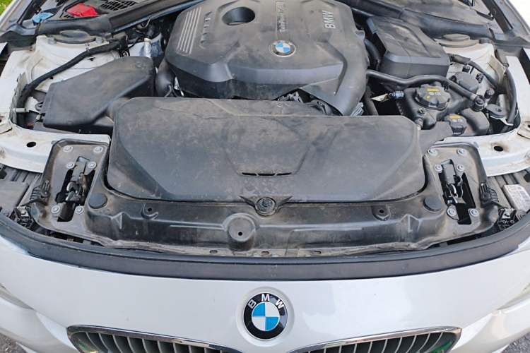 Used BMW 3 Series 2018 320Li Fashion Model Engine Bay