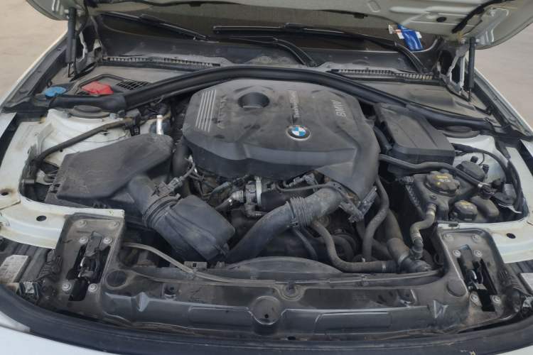 Used BMW 3 Series 2018 320Li Fashion Model Engine Bay