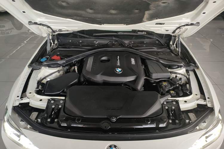 Used BMW 3 Series 2018 320Li Leading Model M Sport Package Engine Bay
