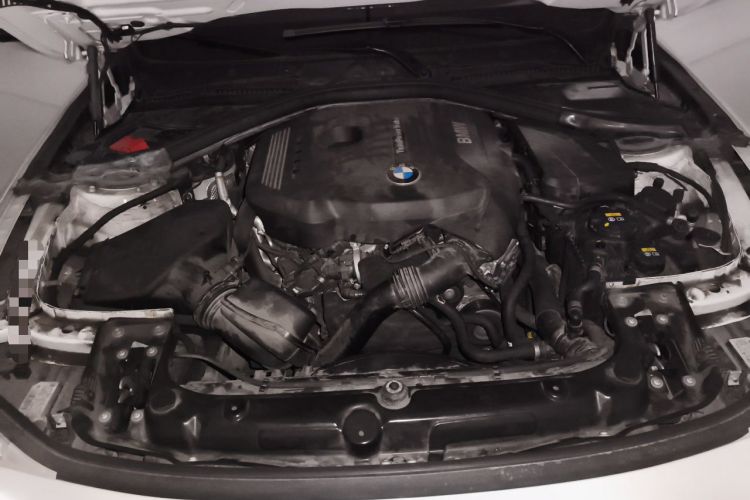 Used BMW 3 Series 2018 320Li Fashion Model Engine Bay