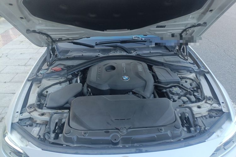 Used BMW 3 Series 2018 320Li Fashion Model Engine Bay