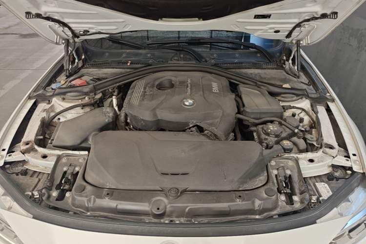 Used BMW 3 Series 2018 320Li Fashion Model Engine Bay