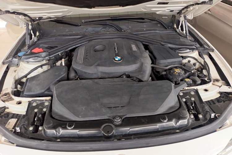 Used BMW 3 Series 2018 320Li Leading Model M Sport Package Engine Bay