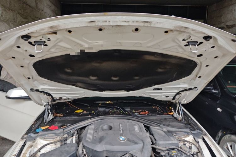 Used BMW 3 Series 2018 320Li Fashion Model Engine Bay