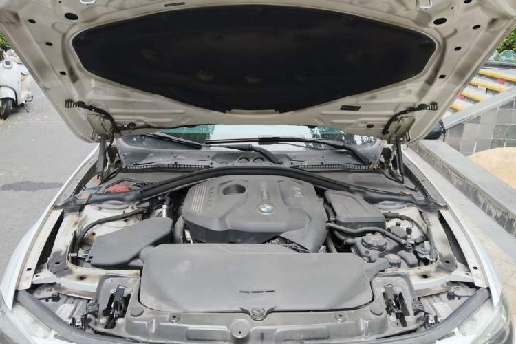 Used BMW 3 Series 2018 320Li M Sport Night Edition Engine Bay