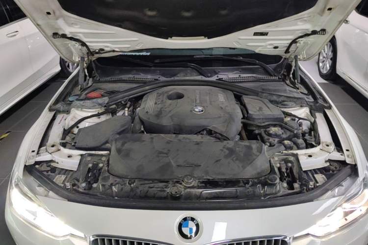 Used BMW 3 Series 2018 320Li Fashion Model Engine Bay
