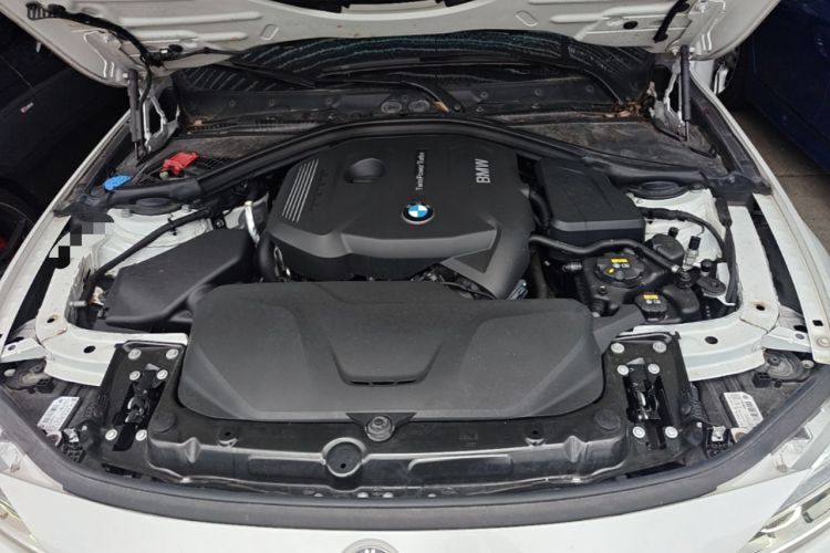 Used BMW 3 Series 2018 320Li xDrive Fashion Model Engine Bay