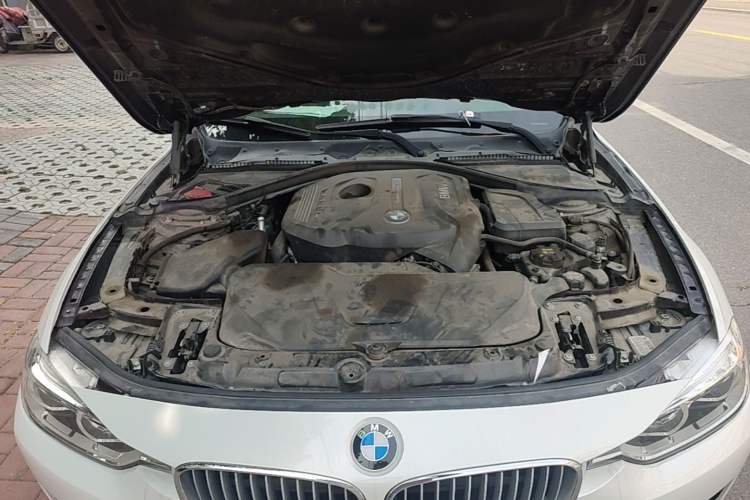 Used BMW 3 Series 2018 320Li xDrive Fashion Model Engine Bay