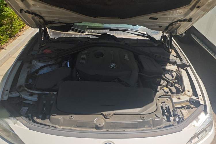 Used BMW 3 Series 2018 320Li Fashion Model Engine Bay