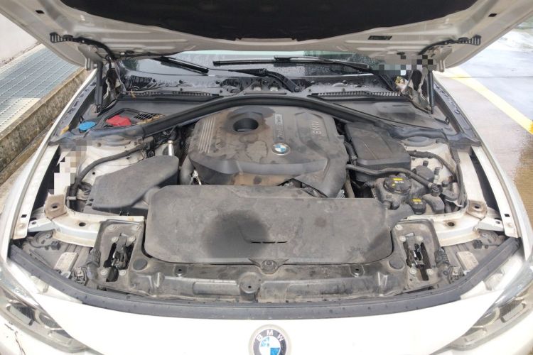 Used BMW 3 Series 2018 320Li Leading Luxury Package Engine Bay