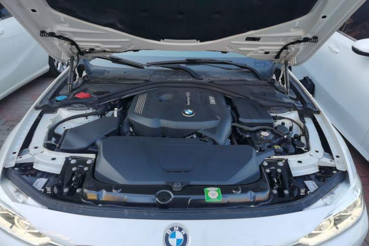 Used BMW 3 Series 2018 320Li xDrive Fashion Model Engine Bay