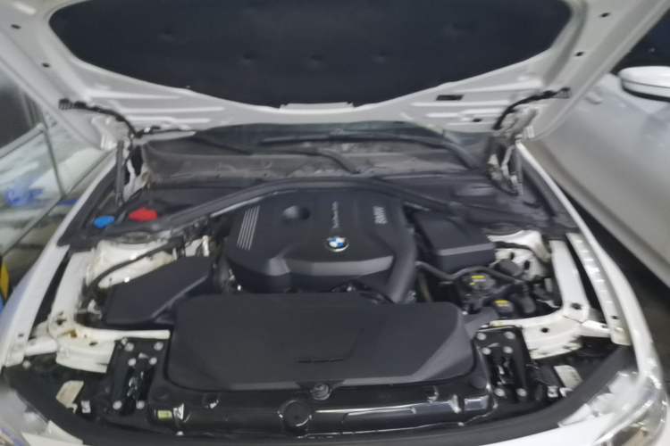 Used BMW 3 Series 2018 320Li xDrive Fashion Model Engine Bay