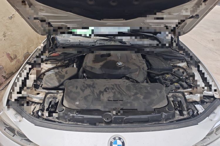Used BMW 3 Series 2018 320Li xDrive Fashion Model Engine Bay
