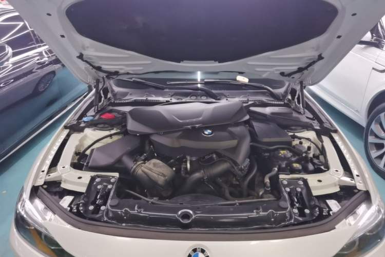 Used BMW 3 Series 2018 320Li Fashion Model Engine Bay