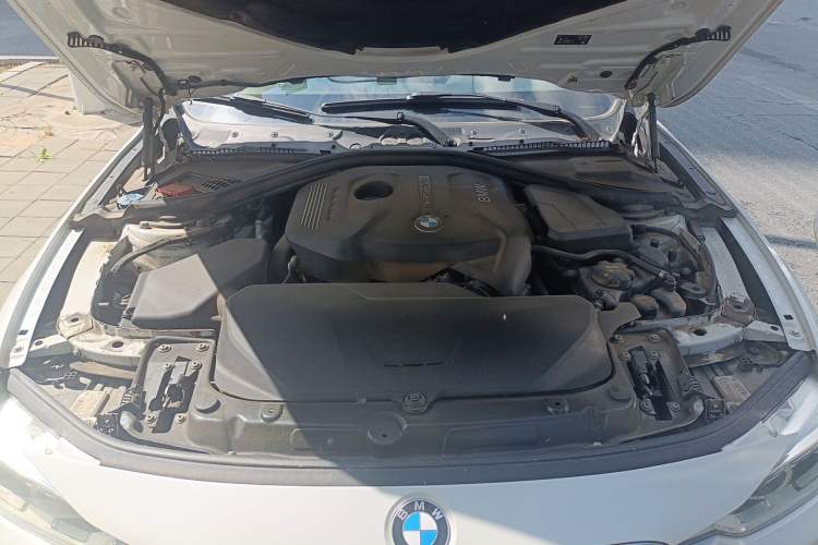 Used BMW 3 Series 2018 320Li xDrive Fashion Model Engine Bay