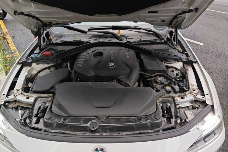 Used BMW 3 Series 2018 320Li Fashion Model Engine Bay