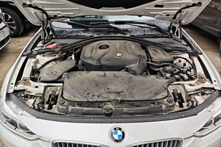 Used BMW 3 Series 2018 320Li Fashion Model Engine Bay