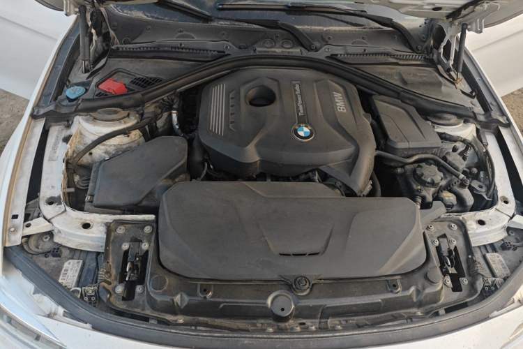 Used BMW 3 Series 2018 320Li Leading Luxury Package Engine Bay