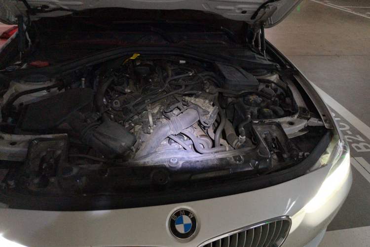 Used BMW 3 Series 2018 320Li Fashion Model Engine Bay Left