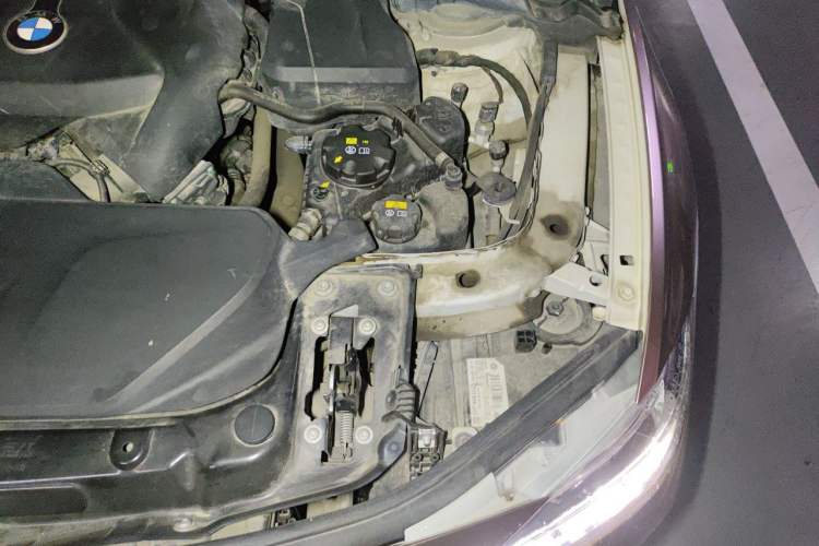 Used BMW 3 Series 2018 320Li Fashion Model Engine Bay Left