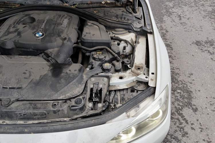 Used BMW 3 Series 2018 320Li Fashion Model Engine Bay Left
