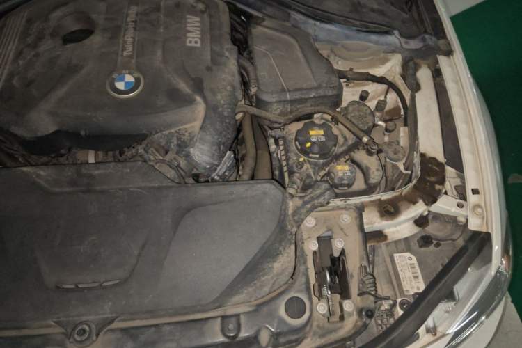 Used BMW 3 Series 2018 320Li Leading Model M Sport Package Engine Bay Left