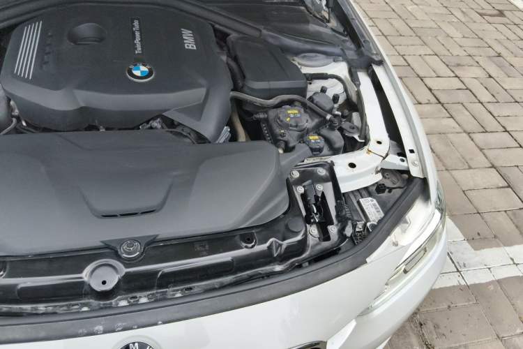 Used BMW 3 Series 2018 320Li Leading Luxury Package Engine Bay Left