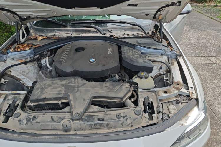 Used BMW 3 Series 2018 318Li Engine Bay Left