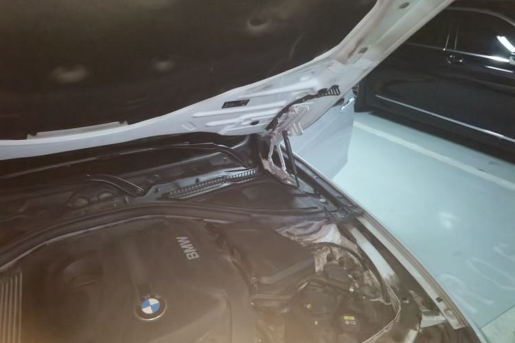 Used BMW 3 Series 2018 320Li xDrive Fashion Model Engine Bay Left